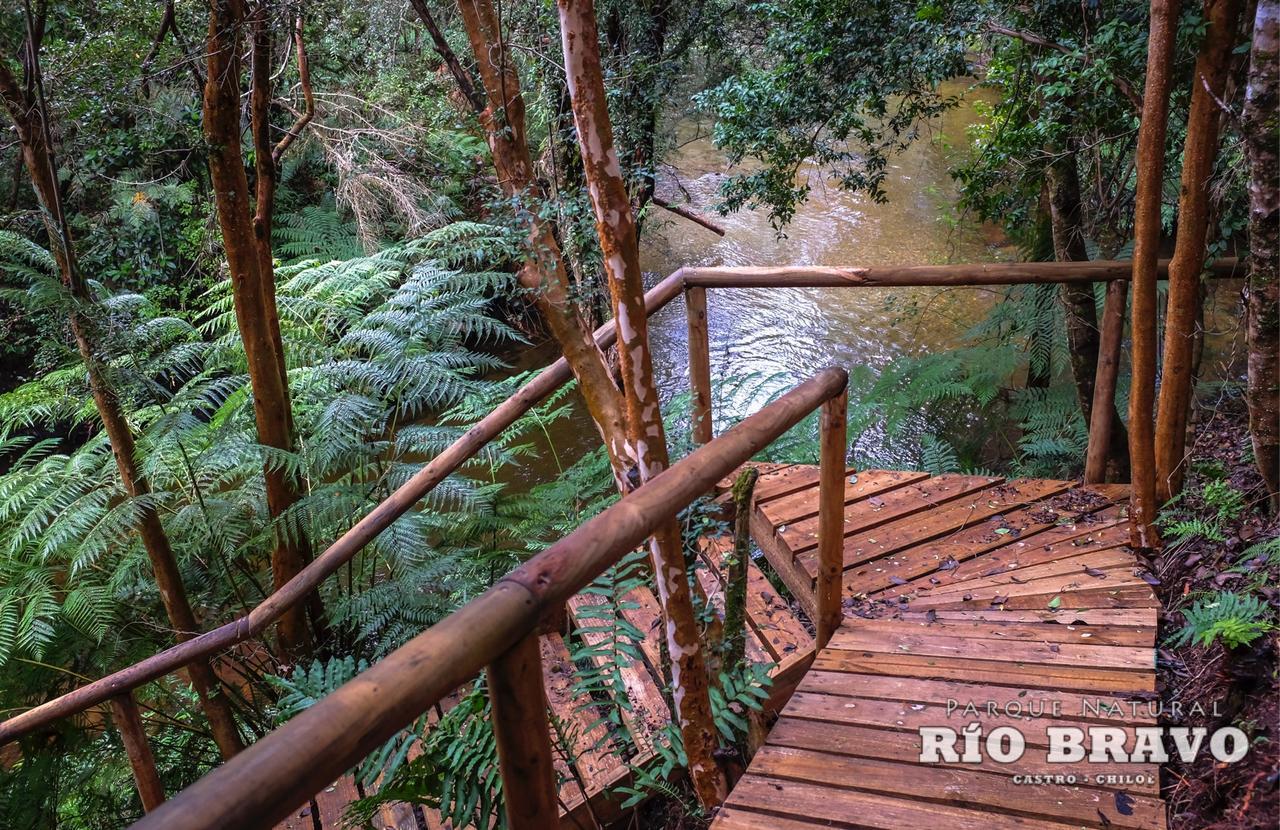 Parque Natural Rio Bravo Lodge Castro Exteriör bild