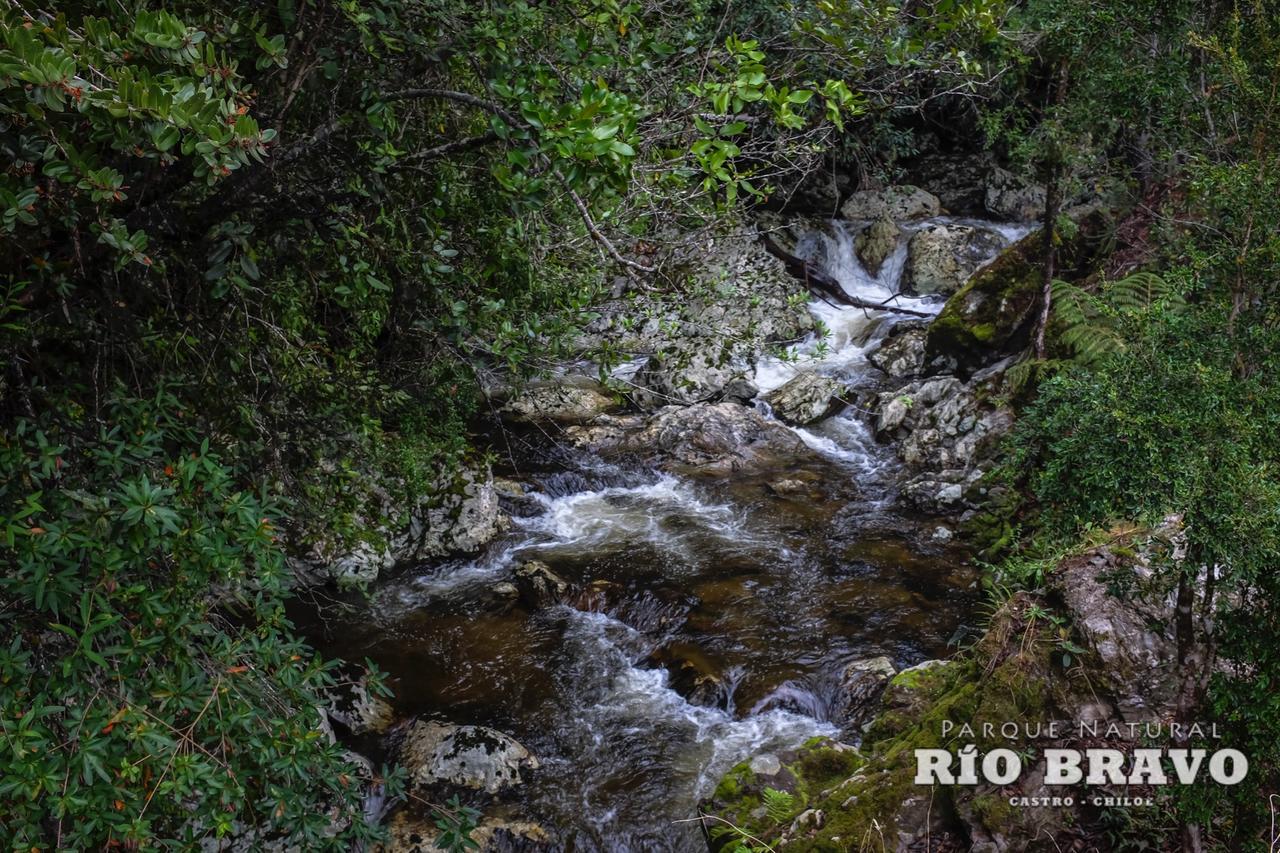 Parque Natural Rio Bravo Lodge Castro Rum bild